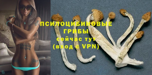сатива Балабаново